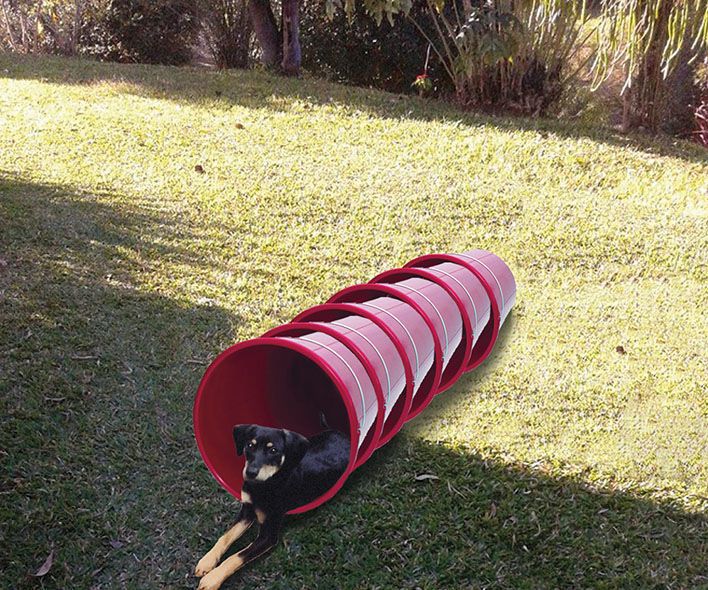 Túnel Para Pets (pets' Tunnel)