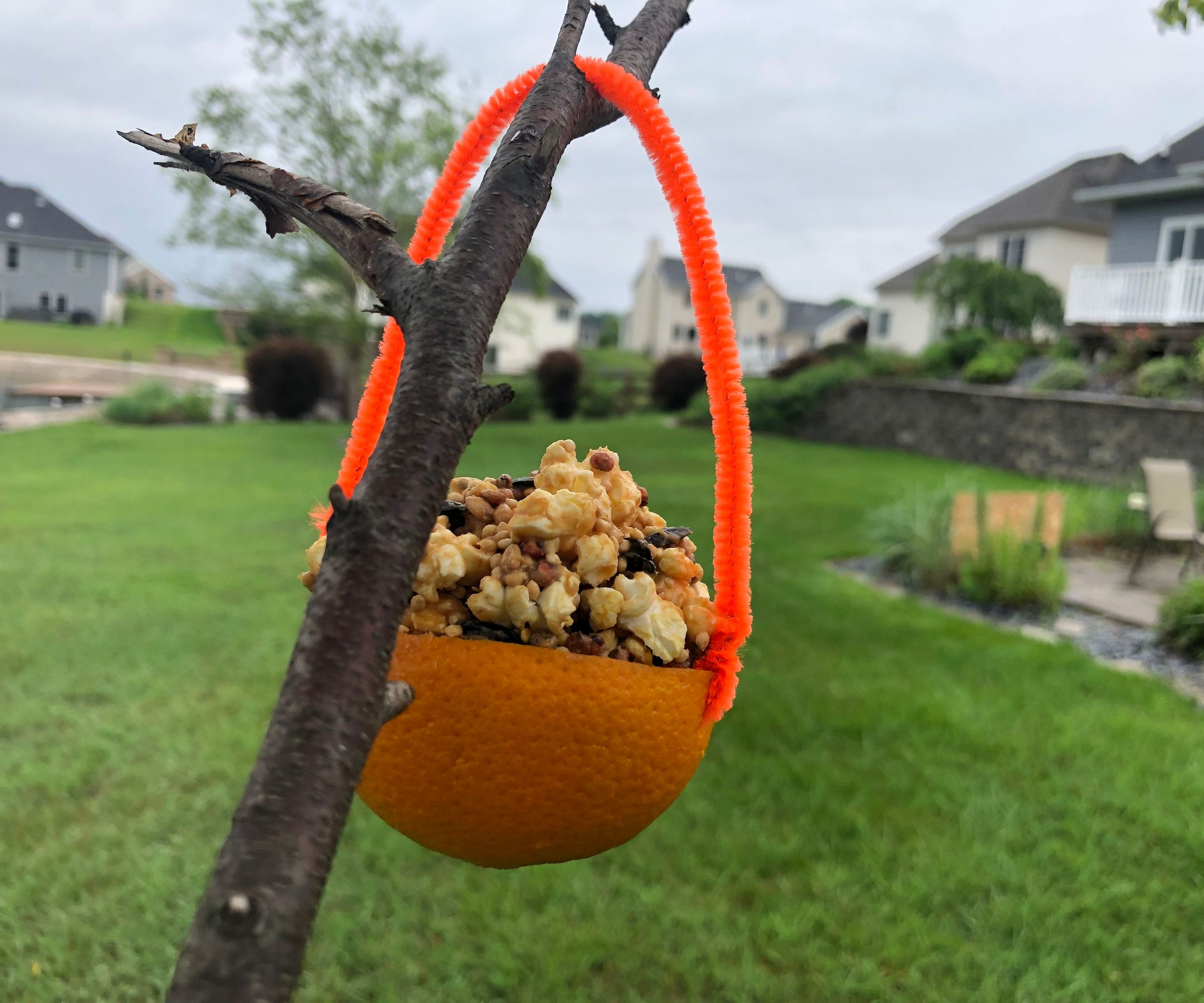 Orange Bird Feeder