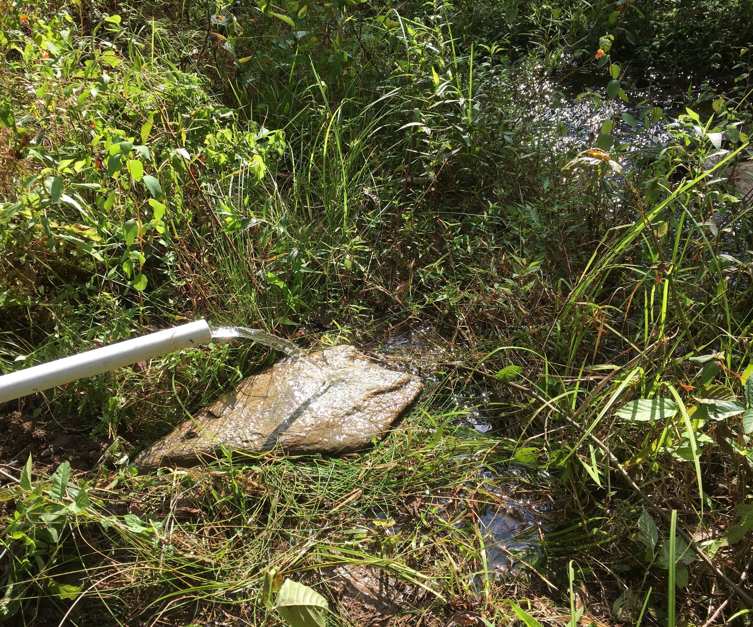 Spring Water Collection System