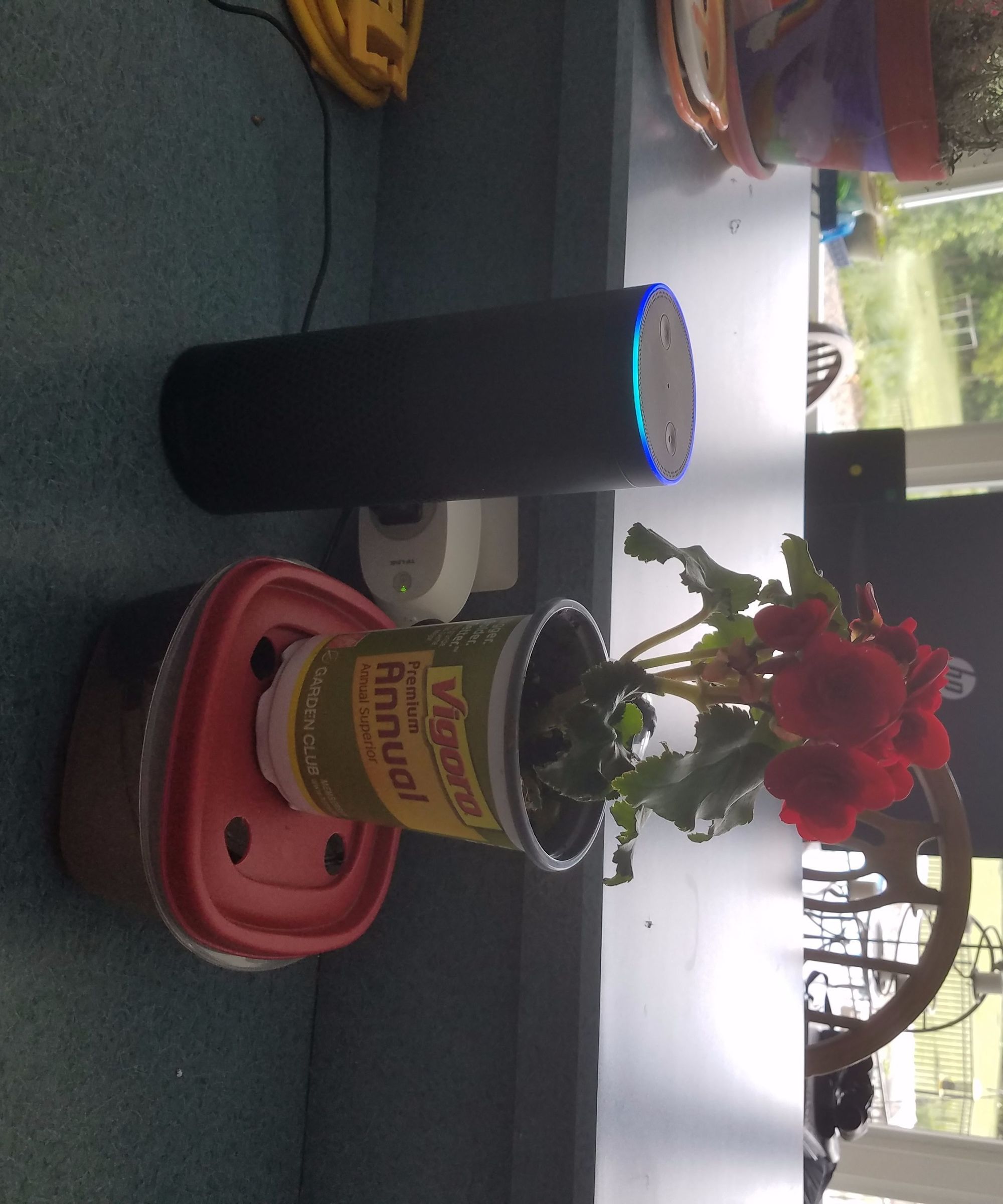 Amazon Echo(Alexa) Plant Waterer