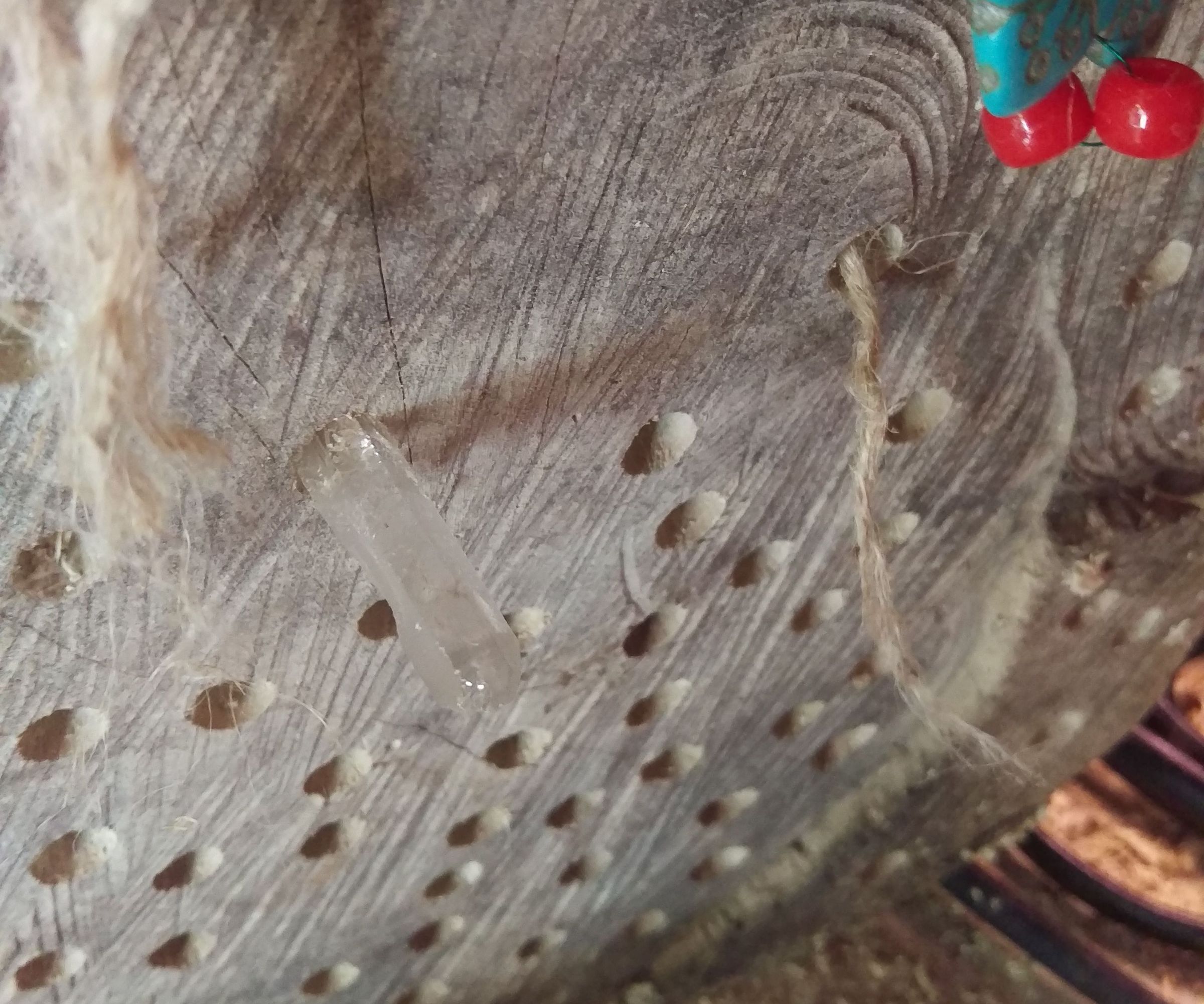 Mason Bee Habitate 