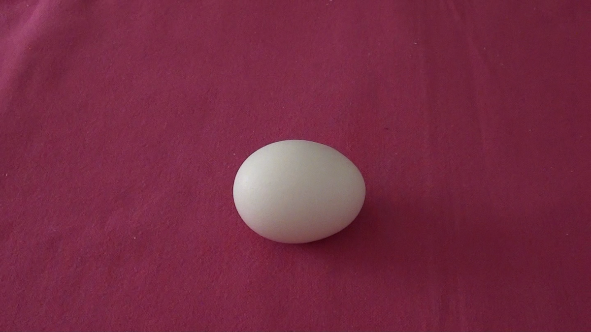 Is This Egg Boiled? (tip to Find Out)