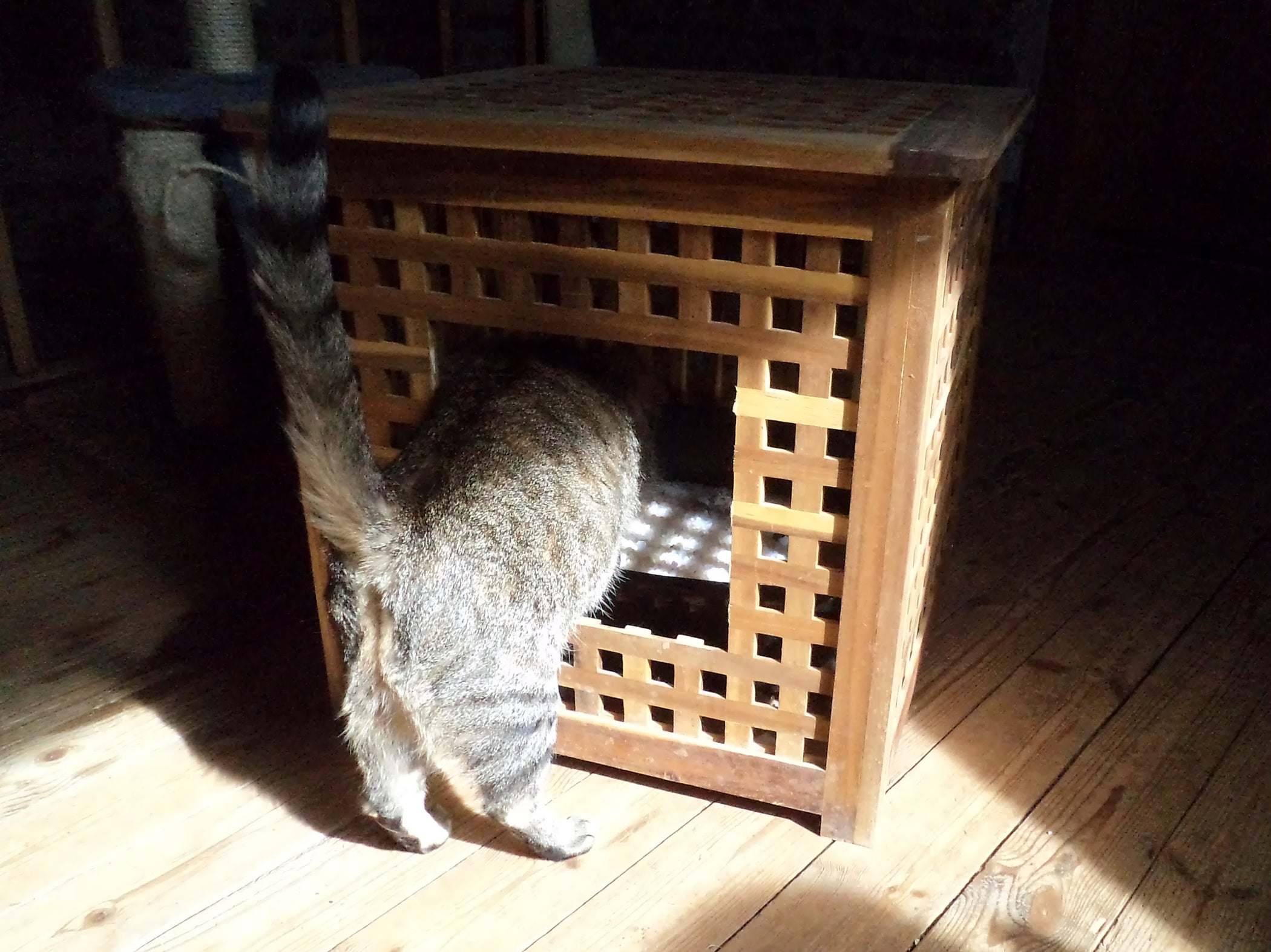 Elegant Ikea Hack Litterbox 3 Steps (with Pictures) Instructables