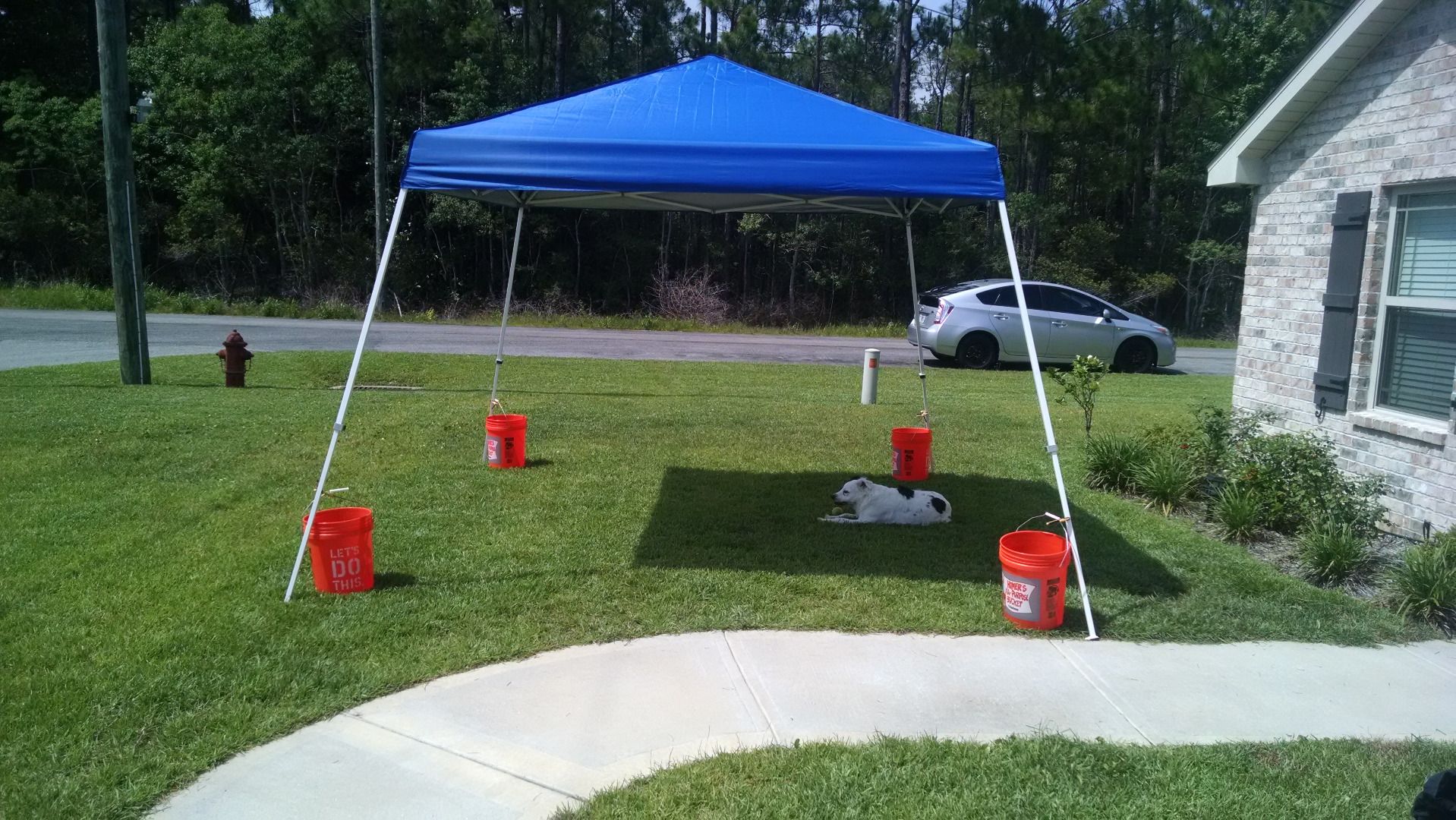 Quick and Easy EasyUp Portable Tent Anchoring 3 Steps (with Pictures