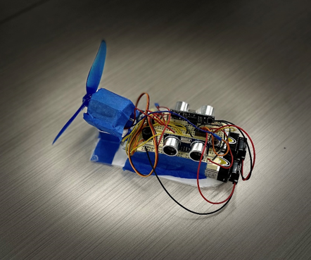 Hippo - a Small Hovercraft