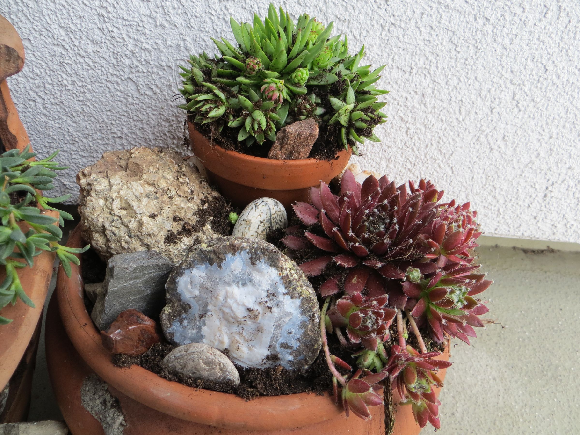 Flower Pot Rock Garden Instructables