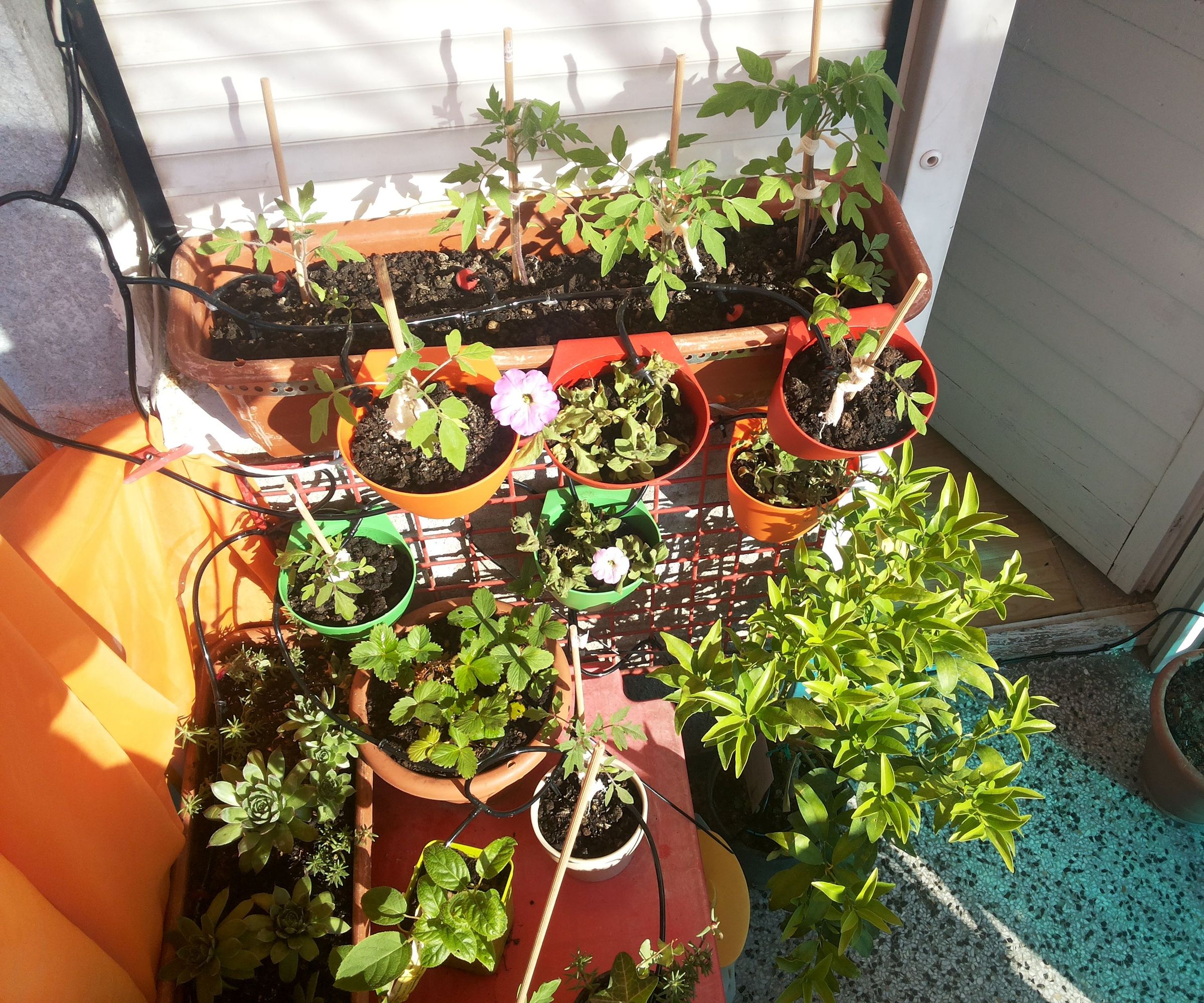 Simple, scalable Raspberry pi garden irrogation