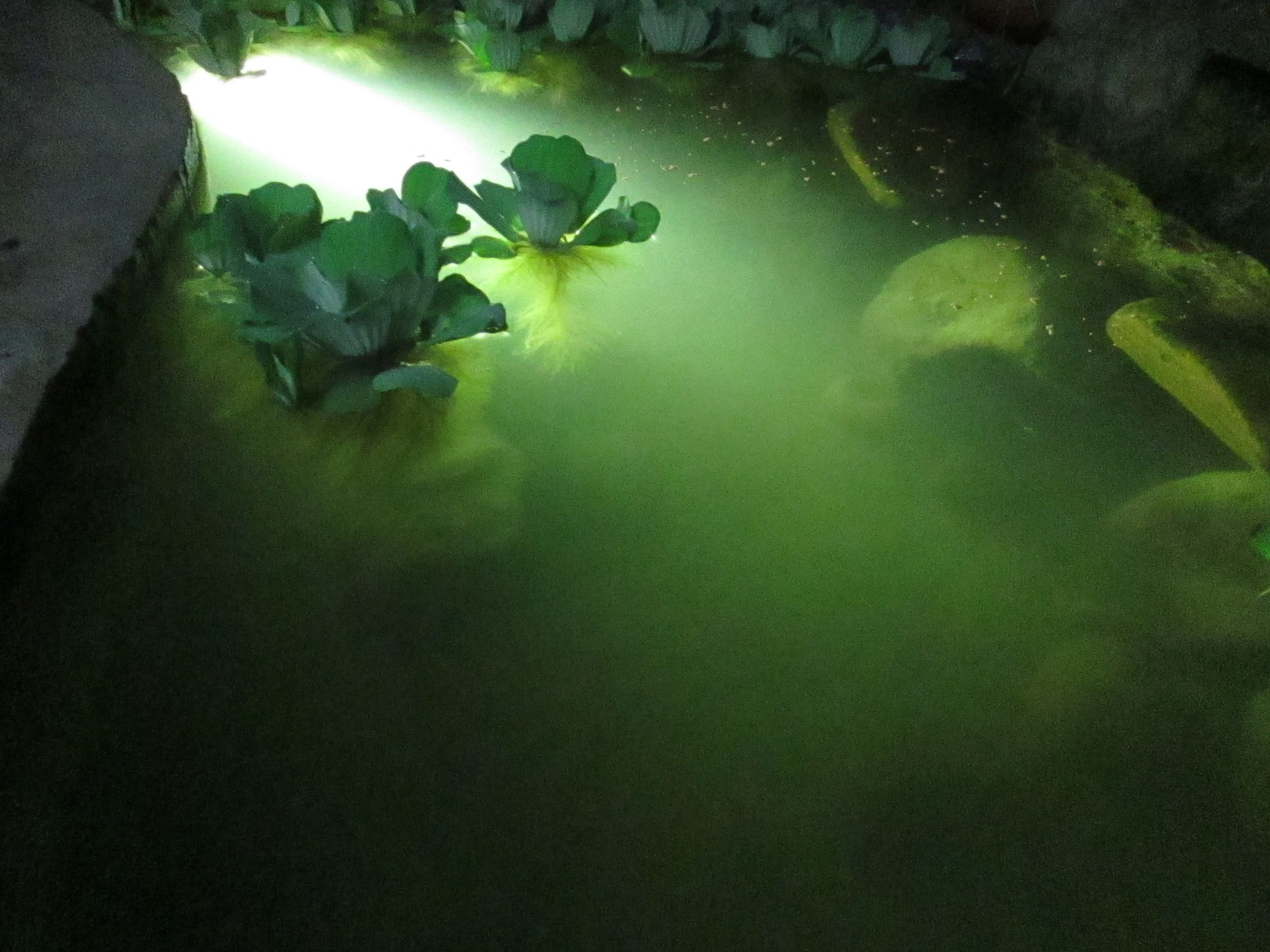 SUBMERSIBLE LED LIGHTS MODULES 7 Steps (with Pictures) Instructables