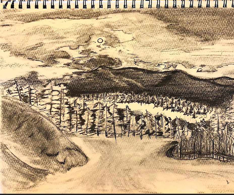 Drawing Landscapes