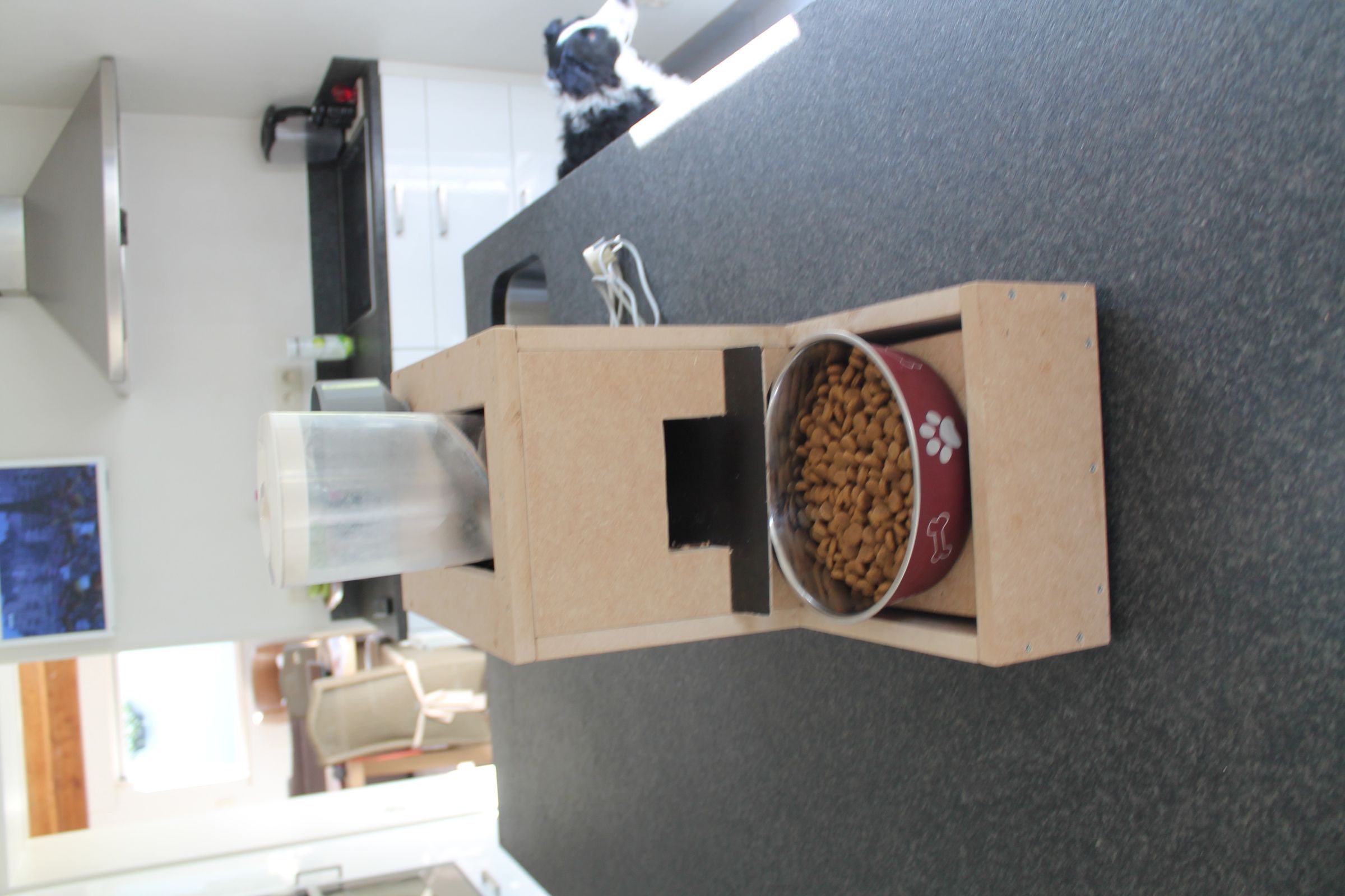 Automatic Dog Feeder 15 Steps (with Pictures) Instructables