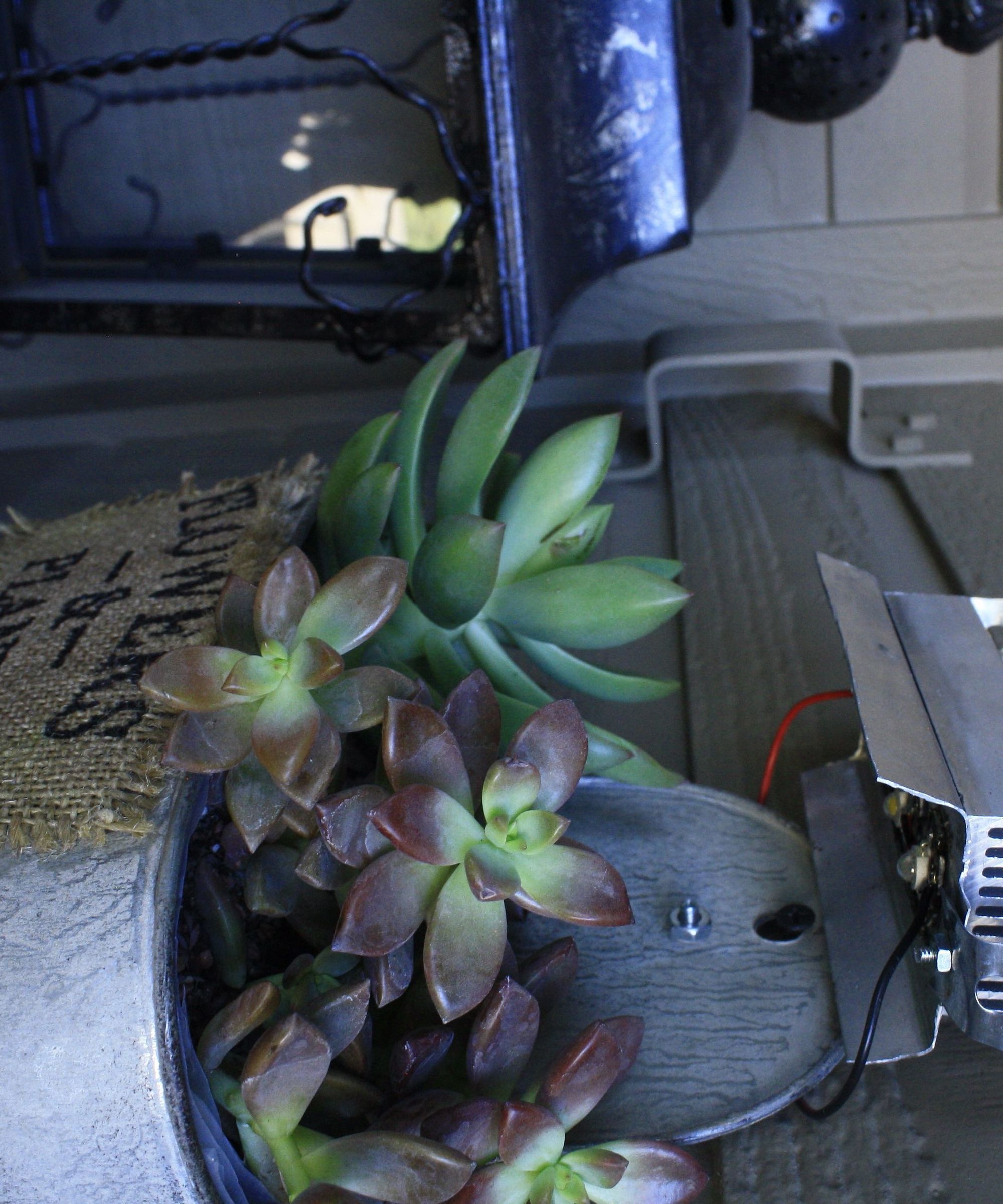 Beginners Guide to LED Grow Lights