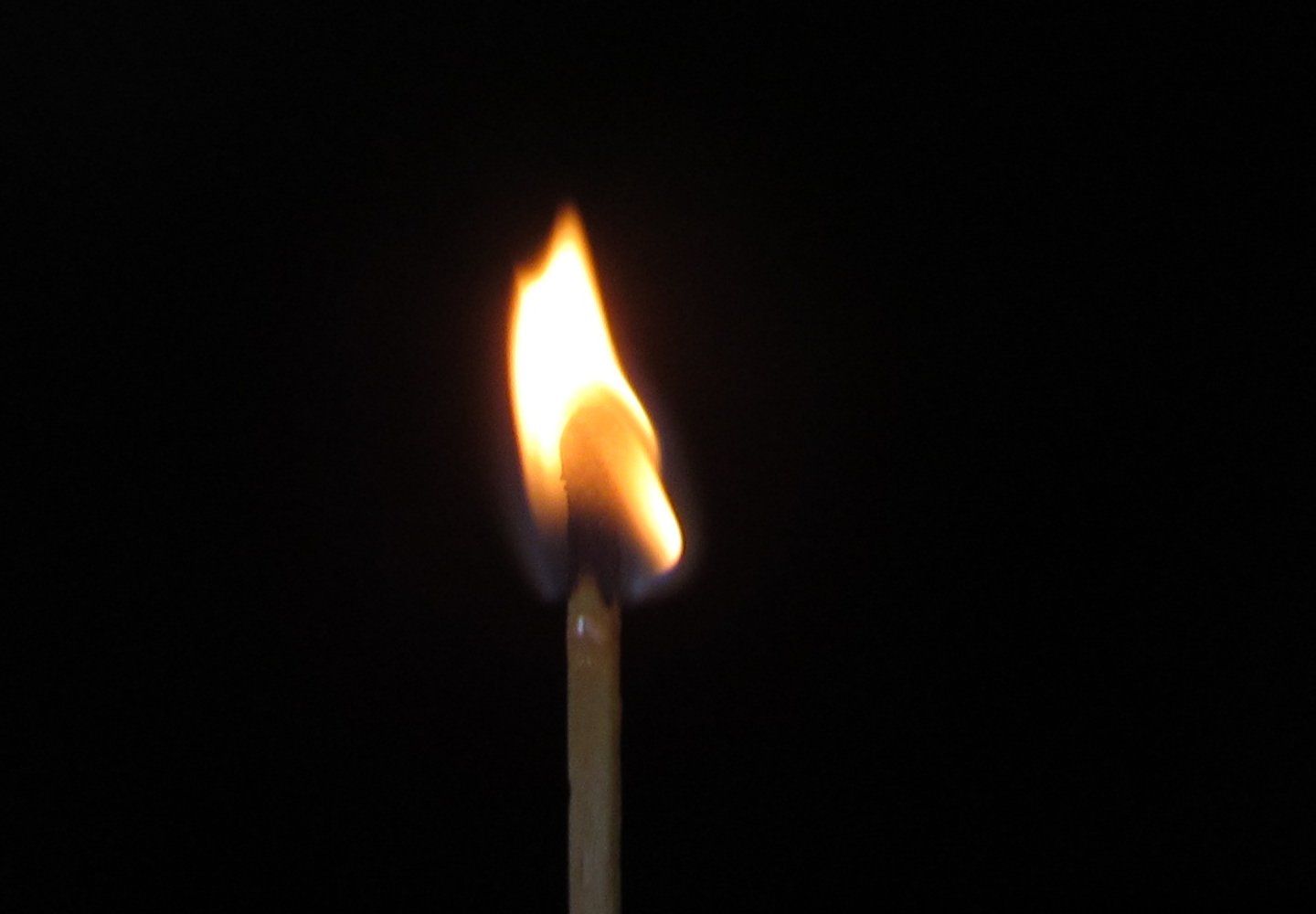 Candles for the Gifted in Years