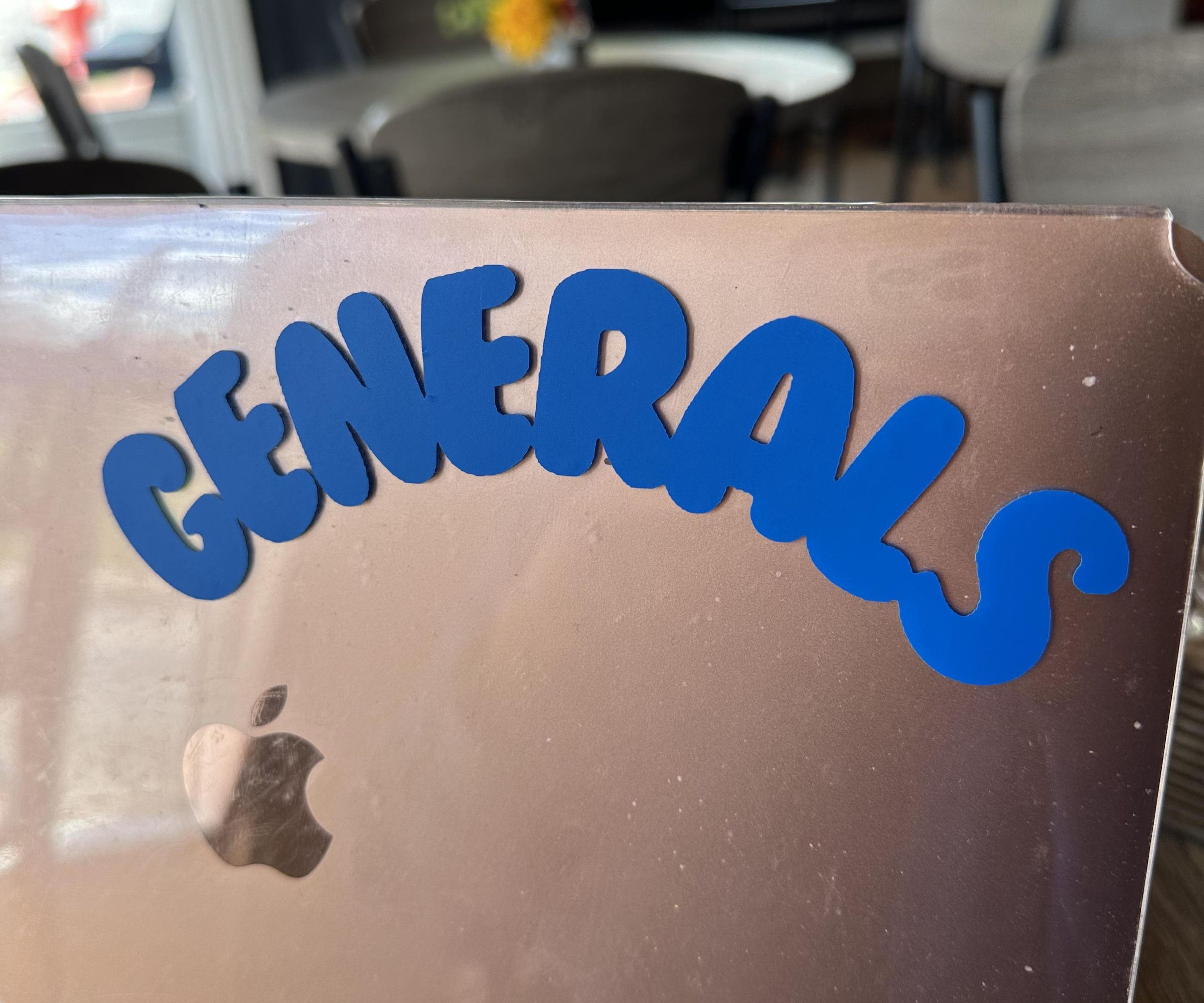 Vinyl Cut Logo Stickers