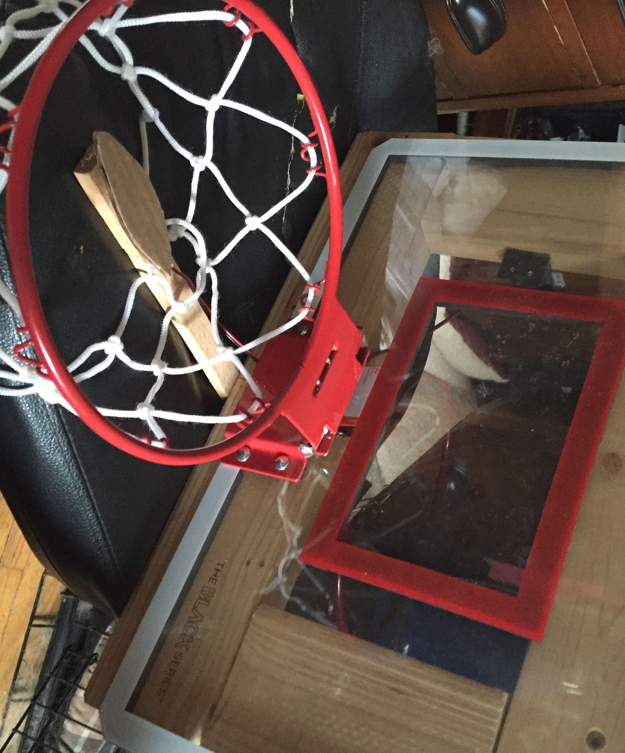 Genius Project Basketball Hoop