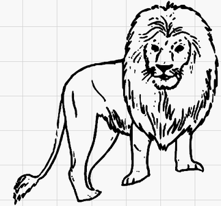 Find a Suitable Image