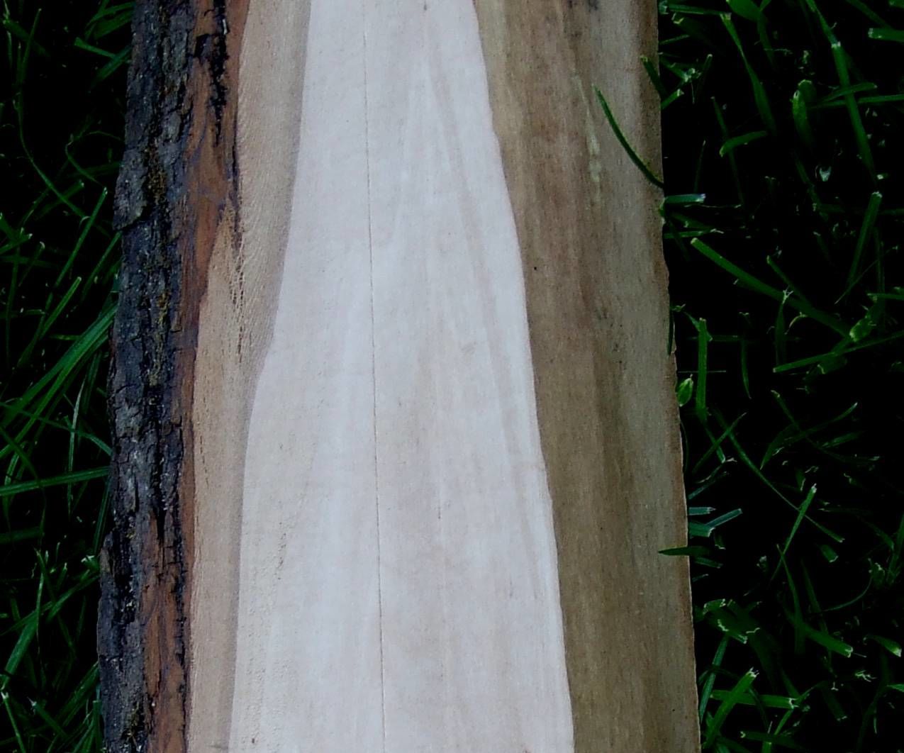 Pyrography: Composition and Storytelling