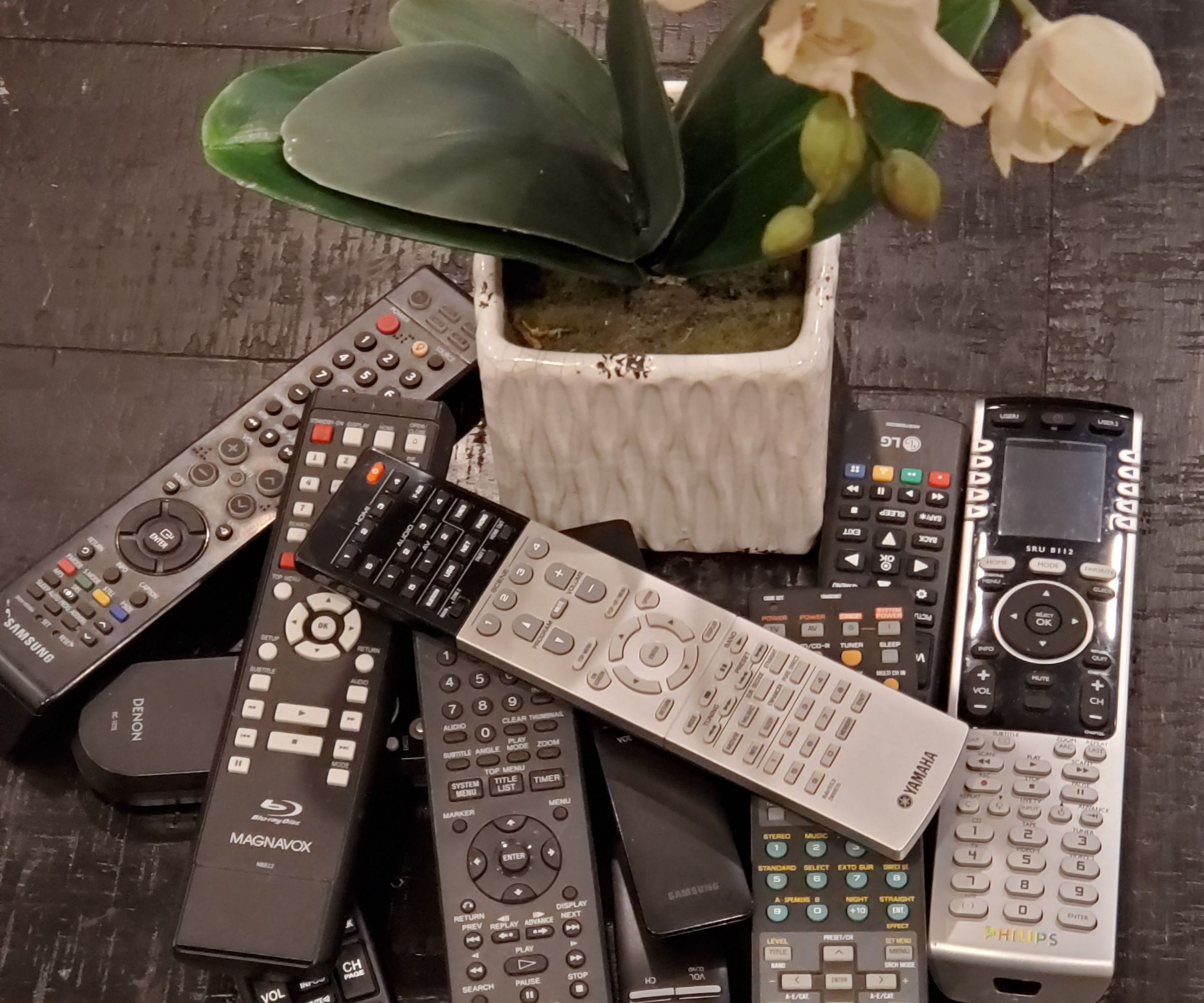 Replace Batteries in Display Remote