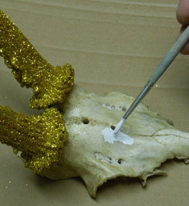 Paint the Bone
