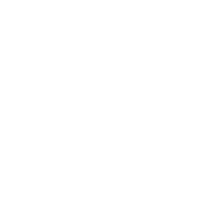 download {{ file.name }}