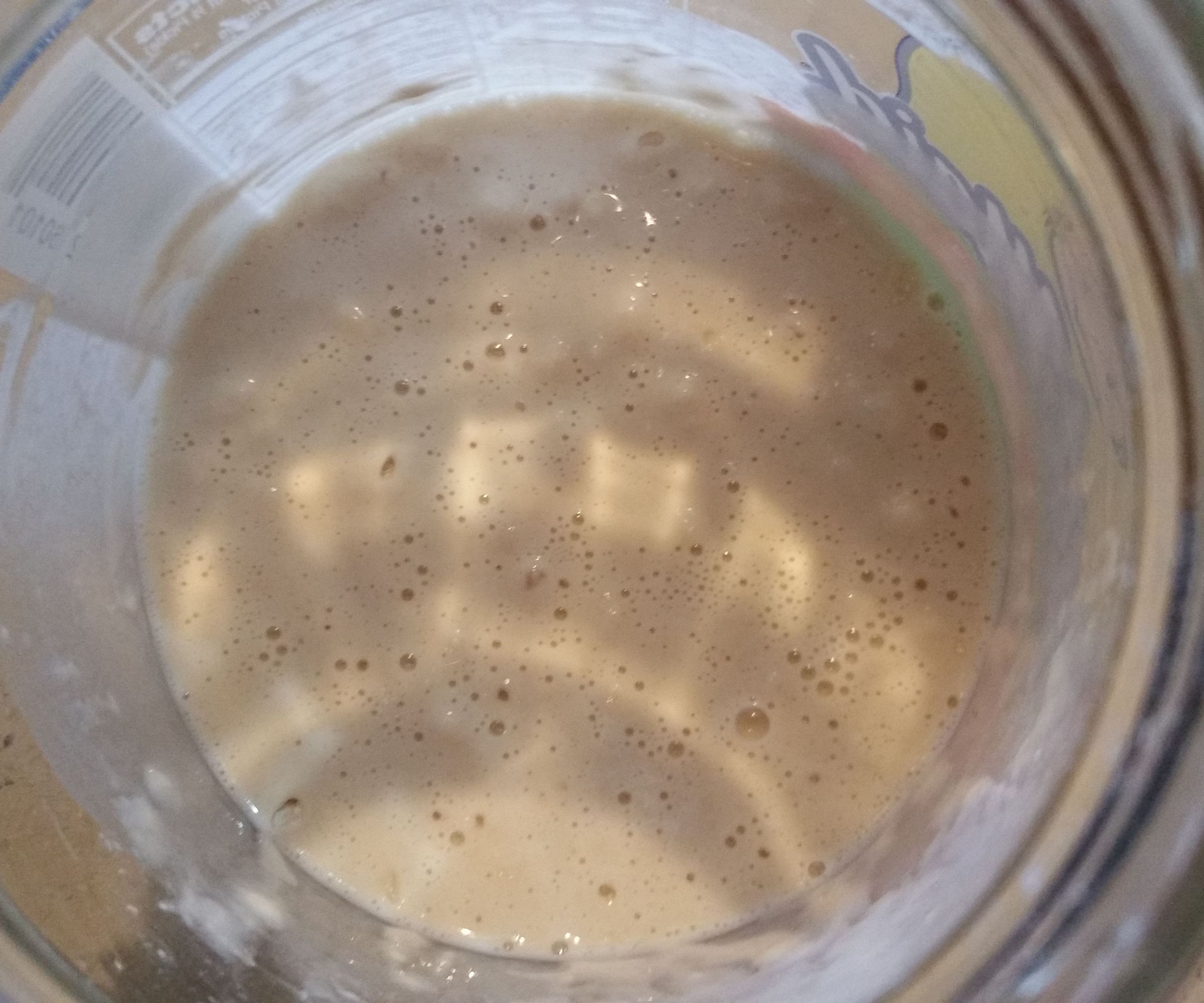 Sourdough Starter