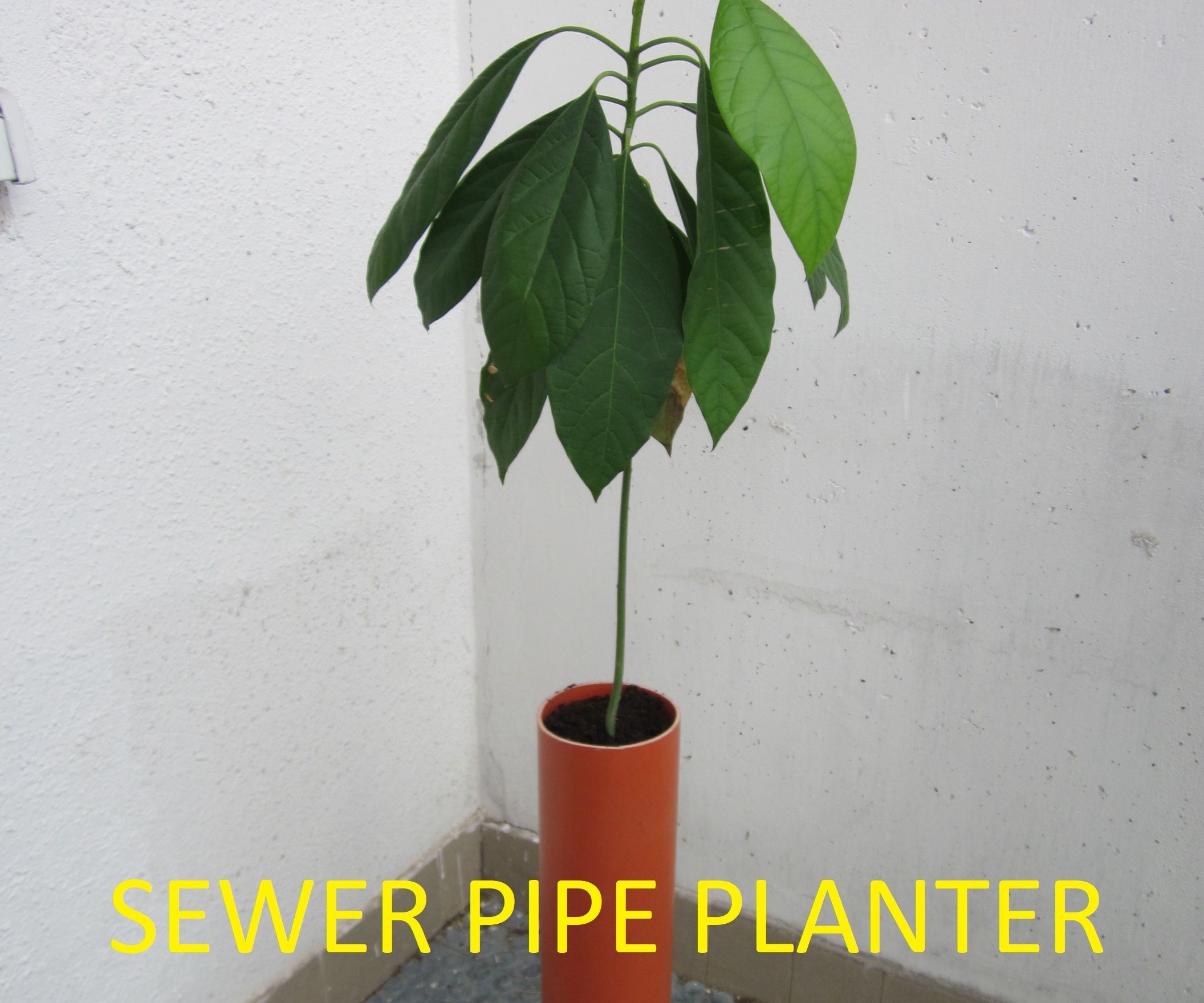 Basic Sewer Pipe Planter