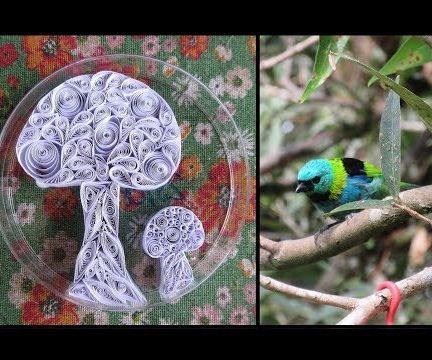Quilling Window Decoration to Prevent Bird Crashes