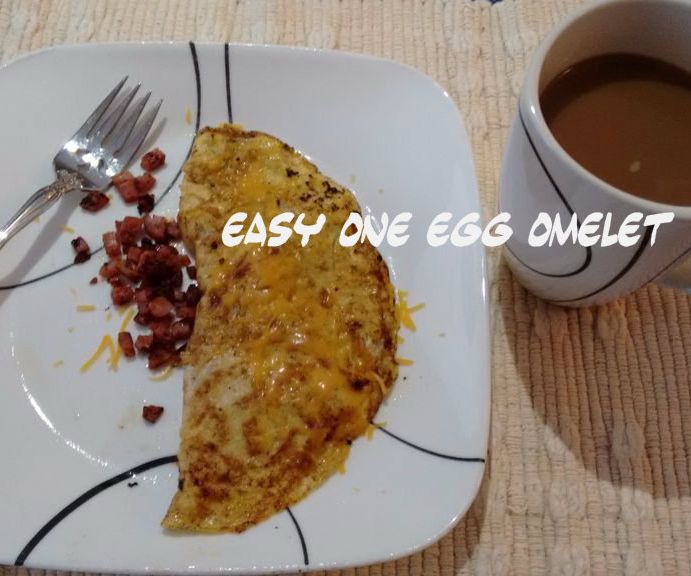 Easy One Egg Omelet