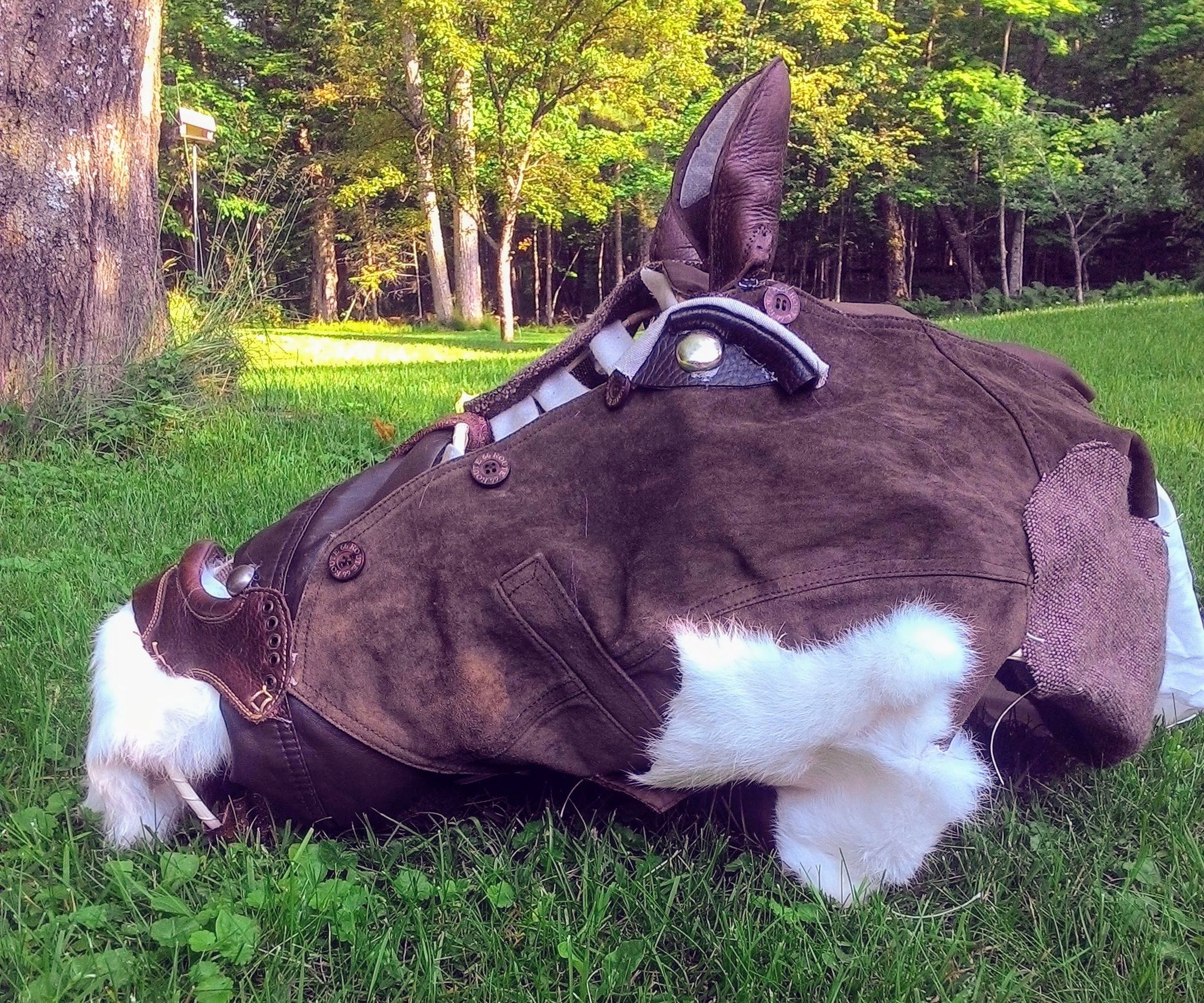 Horse Costume // Man of La Mancha