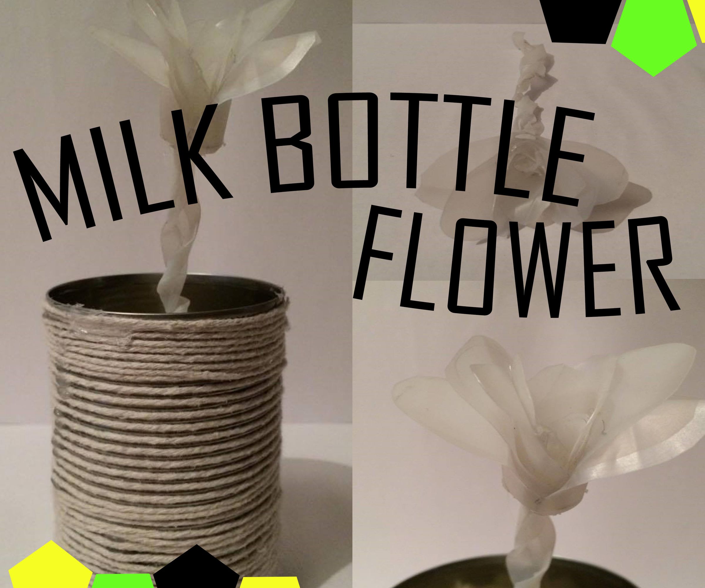 Milk Bottle Flower 