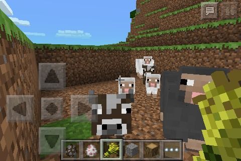 How to Make Animals Follow You