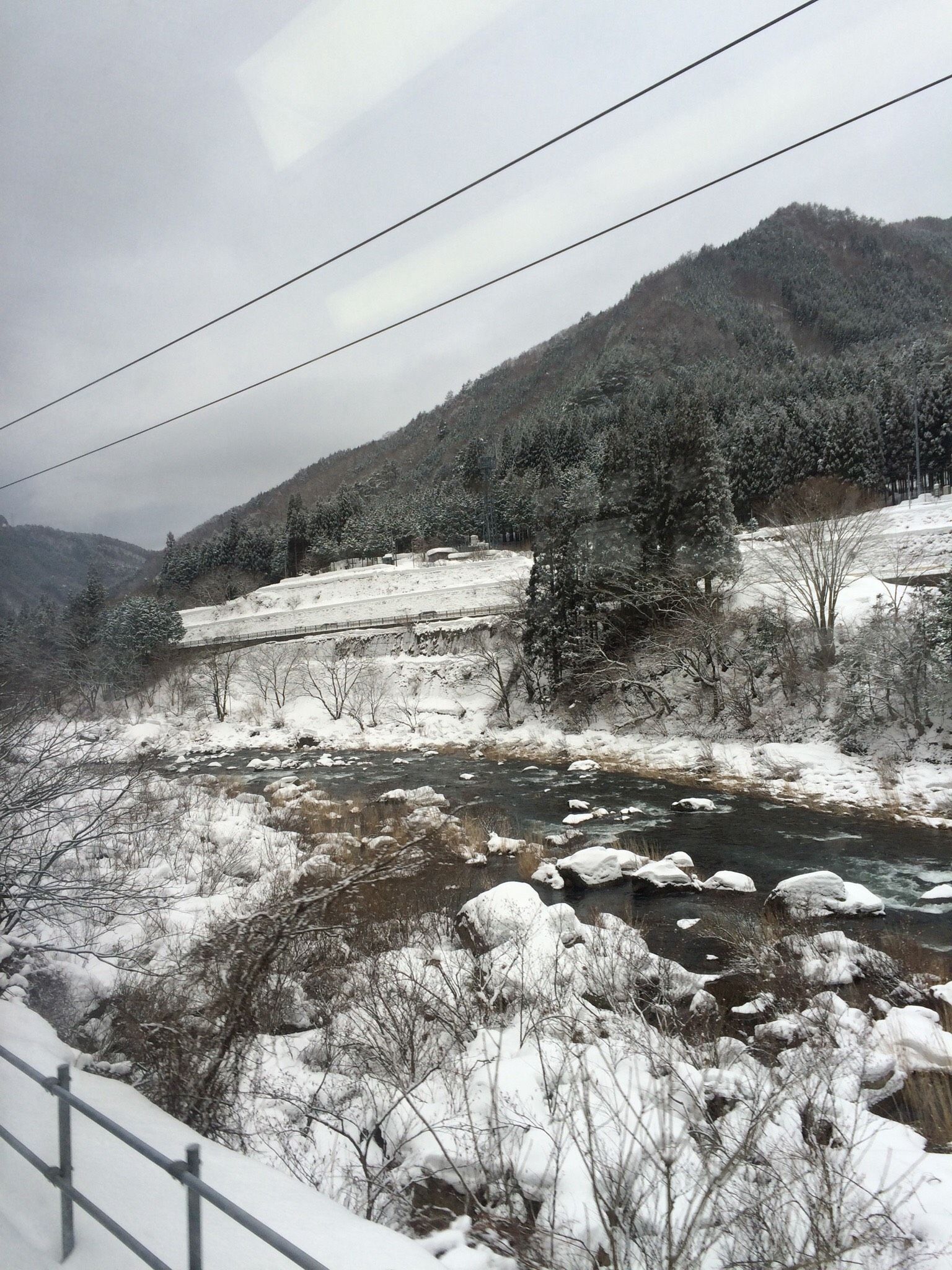 Ten Forest and Mountain Survival Tips