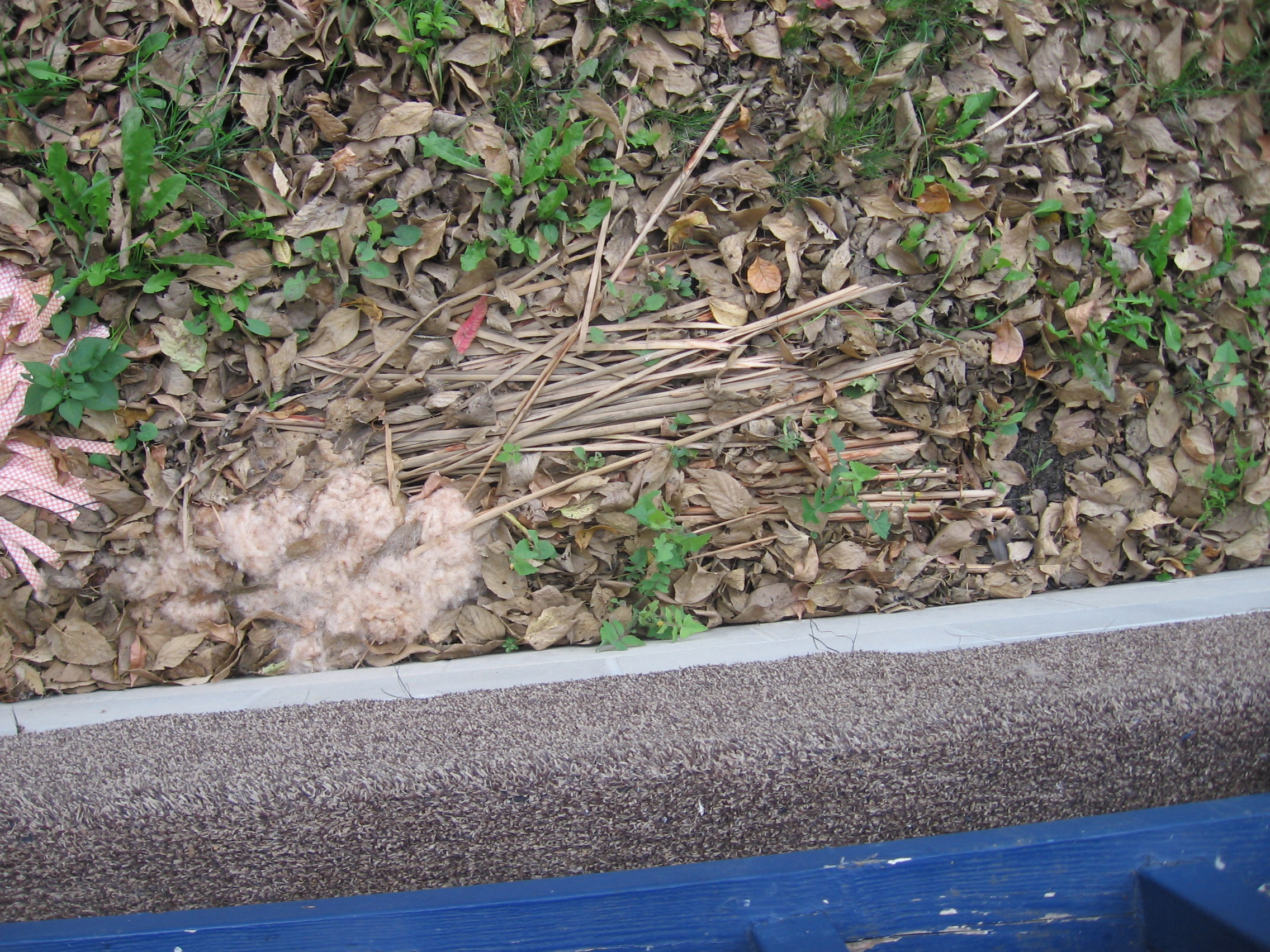 Making Hemp-type Jewelry Cord