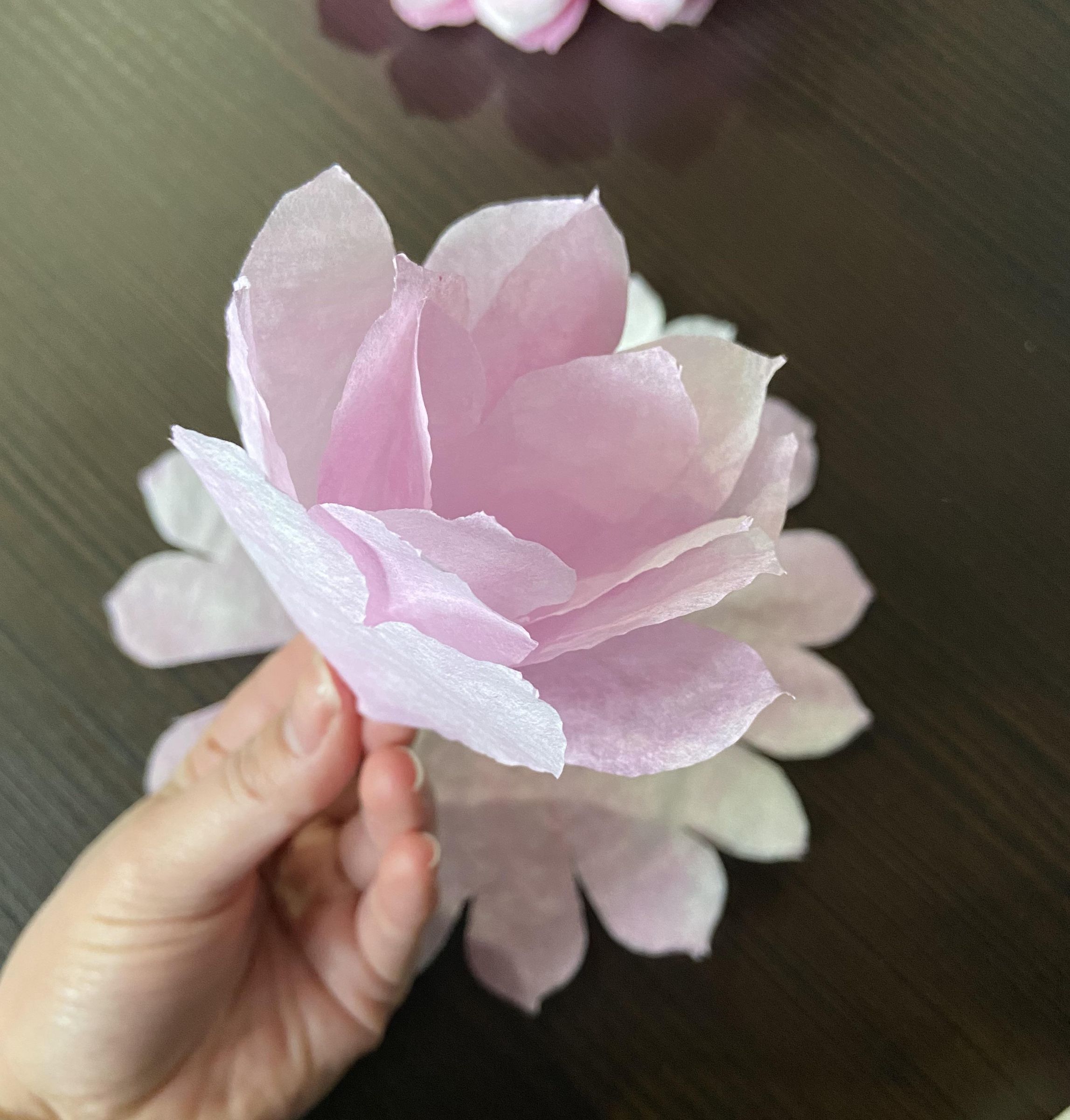 DIY Coffee Filter Flower Wall 10 Steps (with Pictures) Instructables