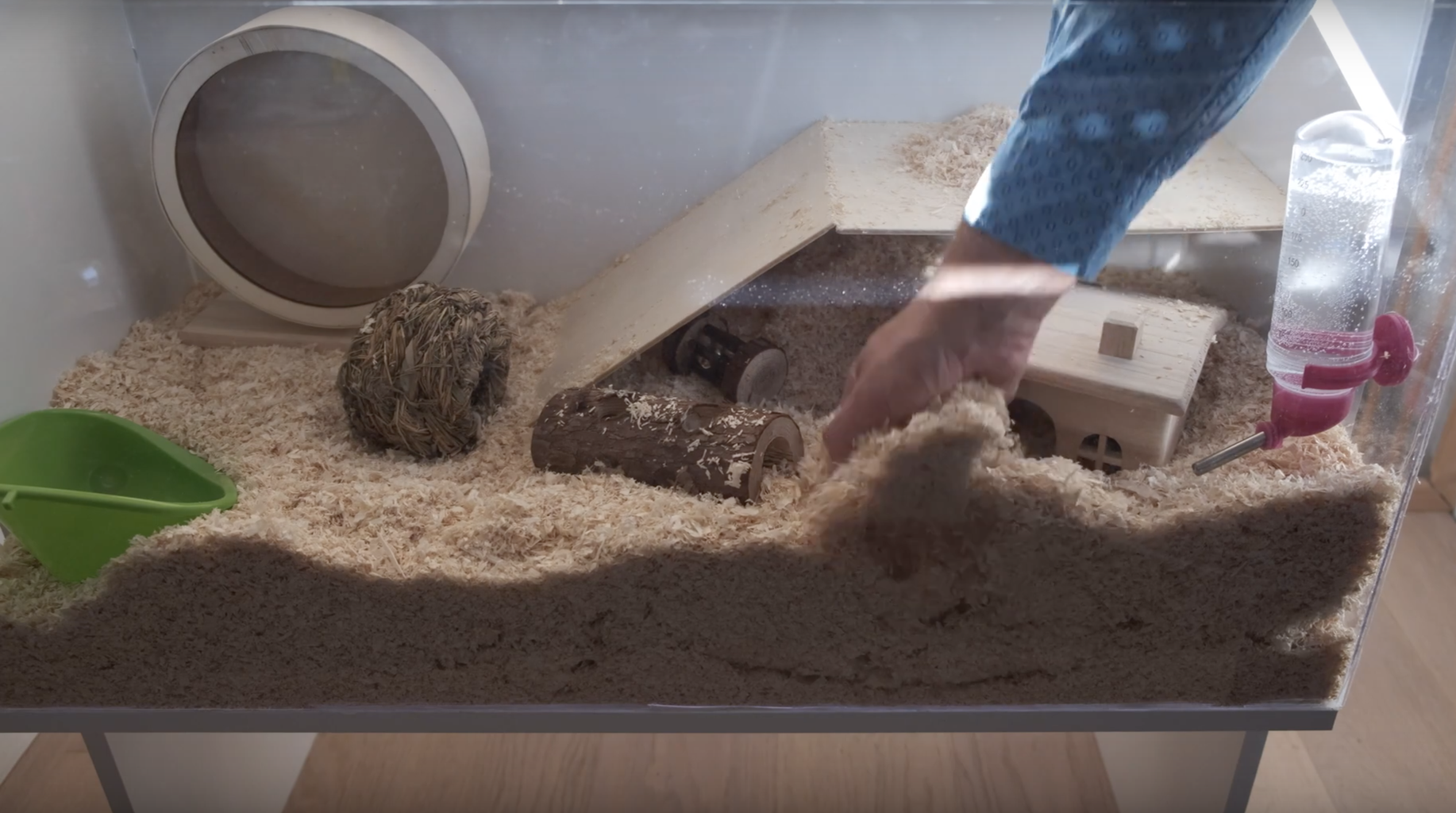 Diy dwarf top hamster cage