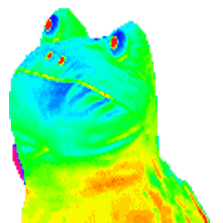 derp.gif
