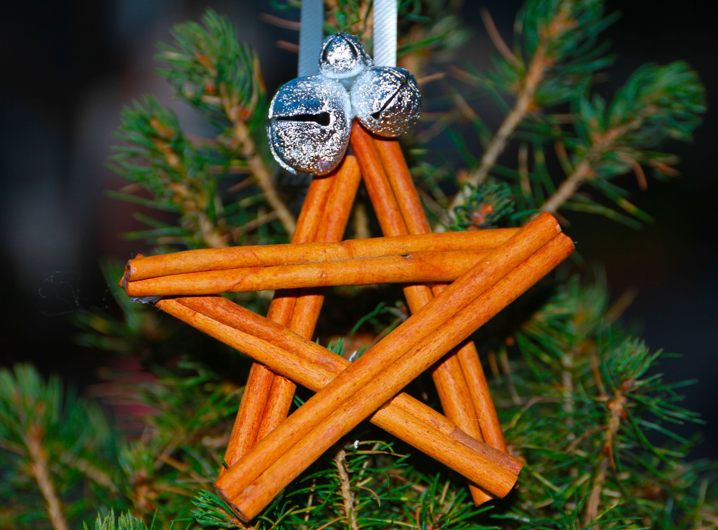 Cinnamon Stick Star Ornaments
