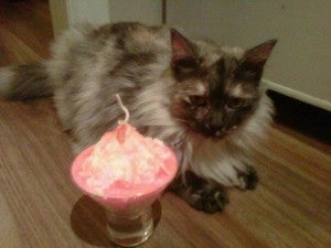 How to Make a Bellini Candle