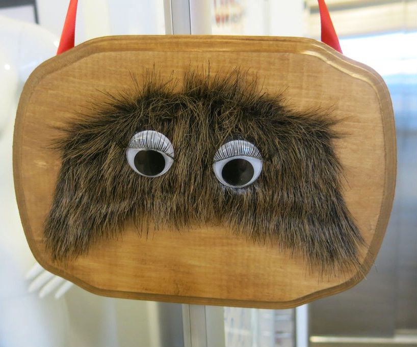 Taxidermy Moustache