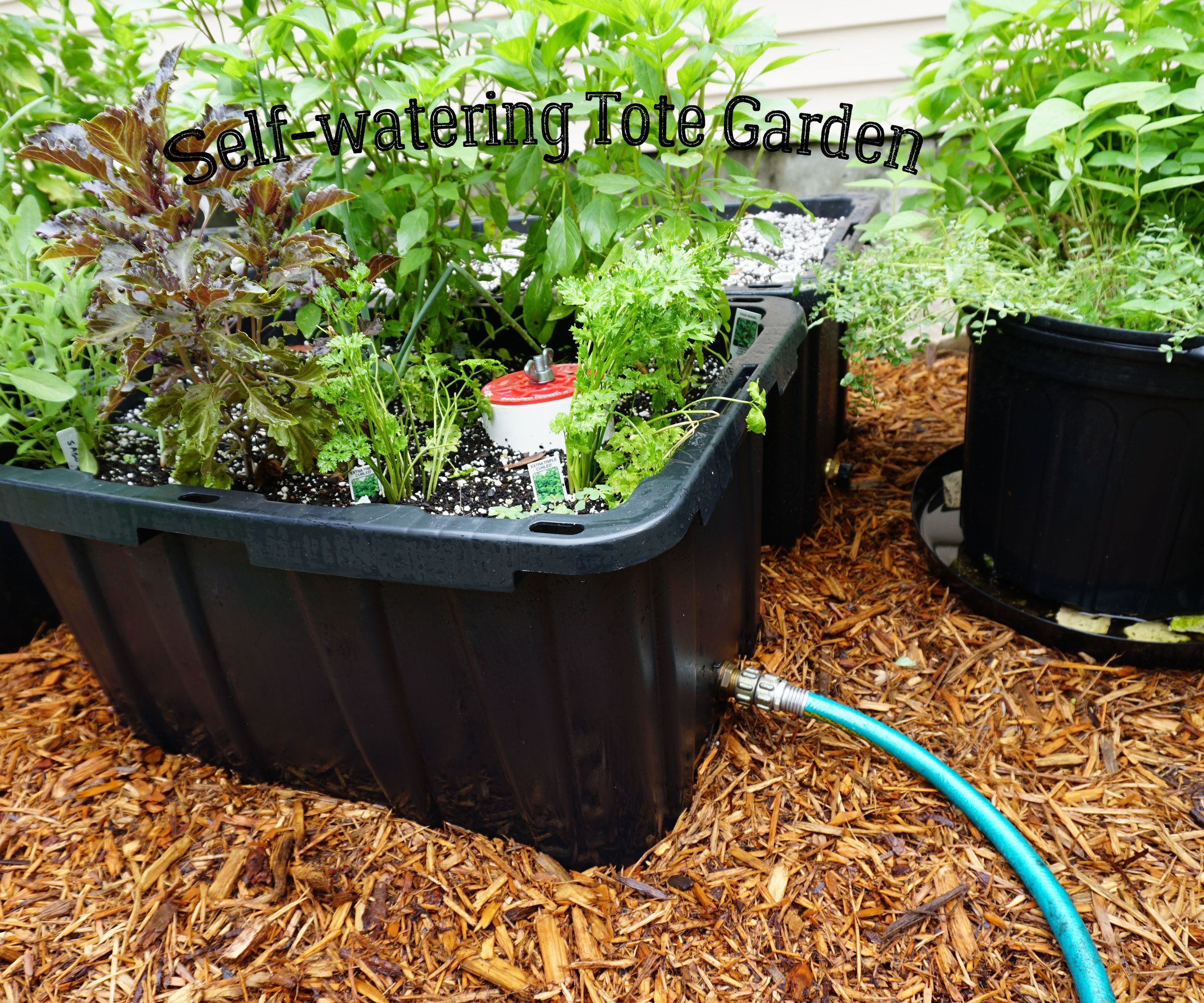 Self-watering Tote Garden
