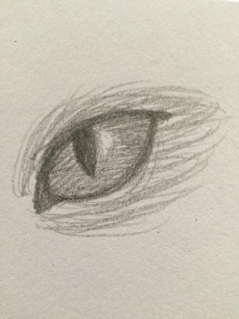 How To Draw A Cat Eye 7 Steps With Pictures Instructables