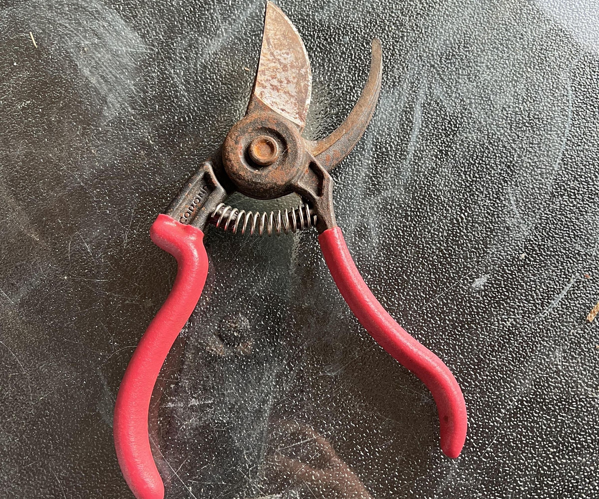 Sharpening Clippers