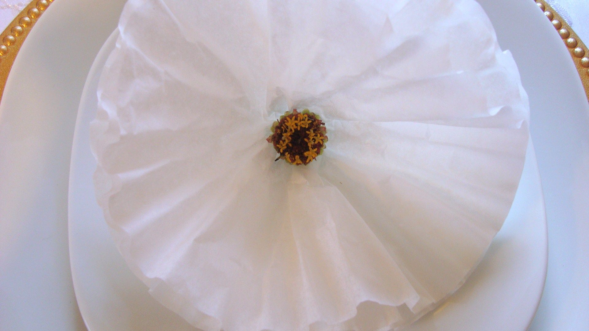 COFFEE FILTER FLOWER TABLE-SCAPE