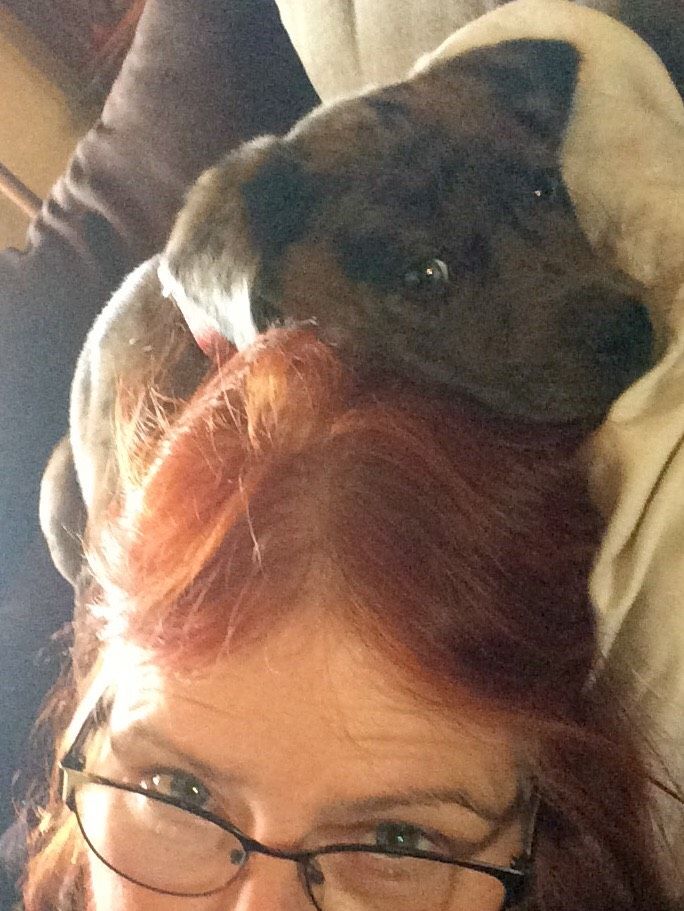 Color With Henna - A Dog And Green Living Approved Instructable