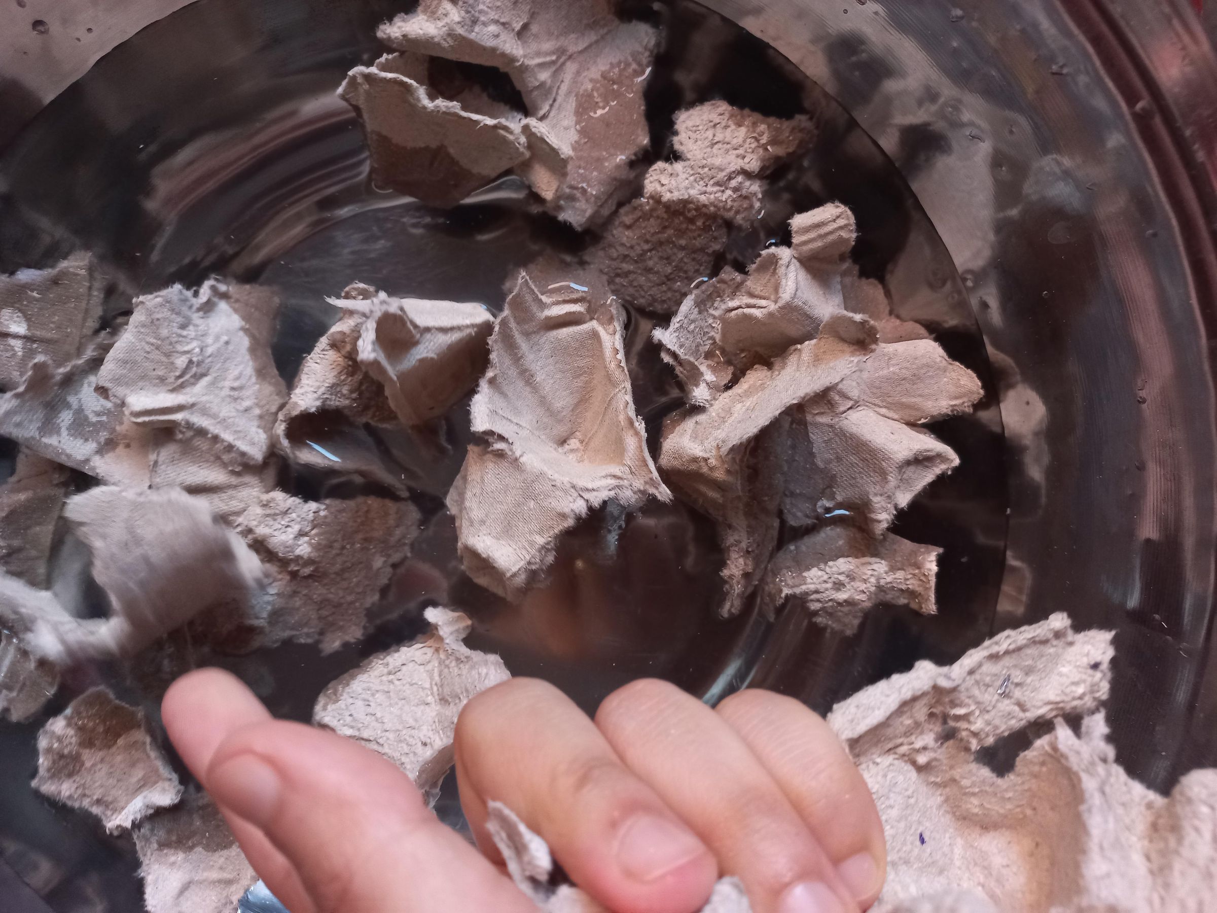 How to Turn Egg Cartons Into a Plant Pot 8 Steps (with Pictures