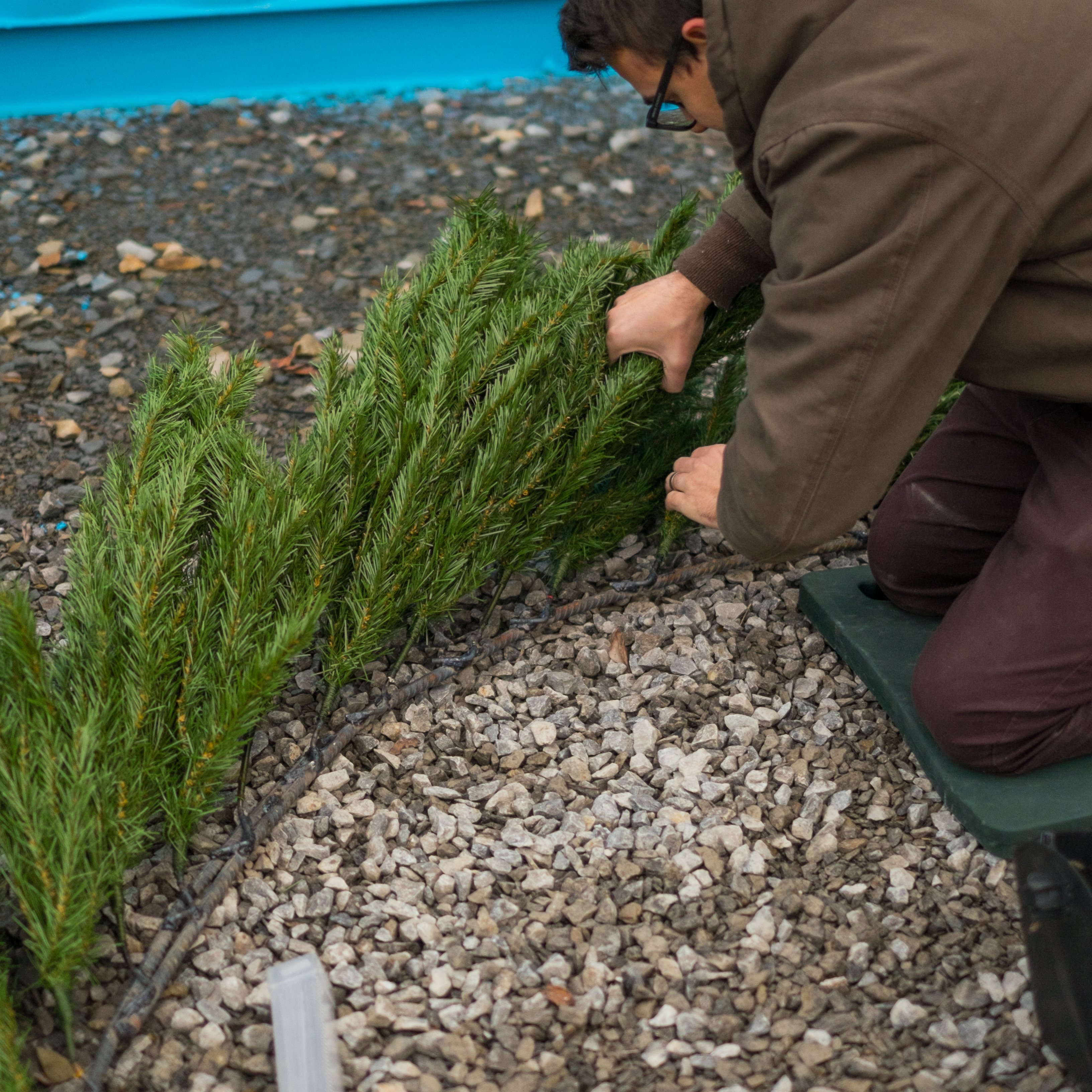 Turn an Old Artificial Christmas Tree Into a Giant Wreath 9 Steps