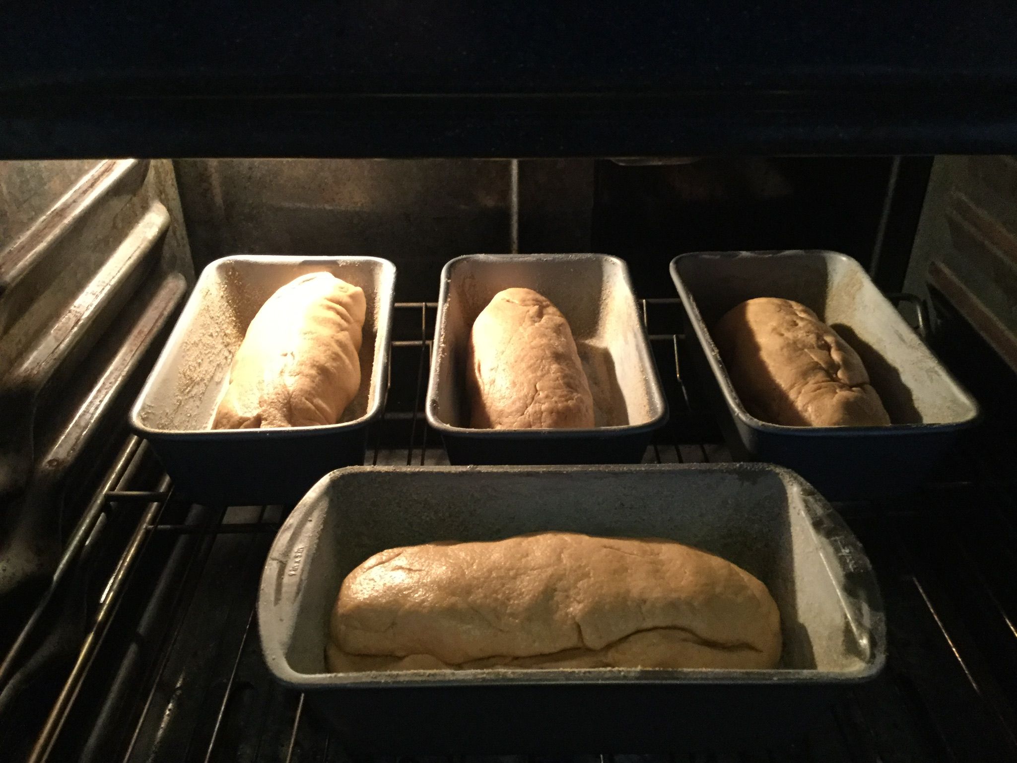 1 Rise Whole Wheat Bread 9 Steps (with Pictures) Instructables