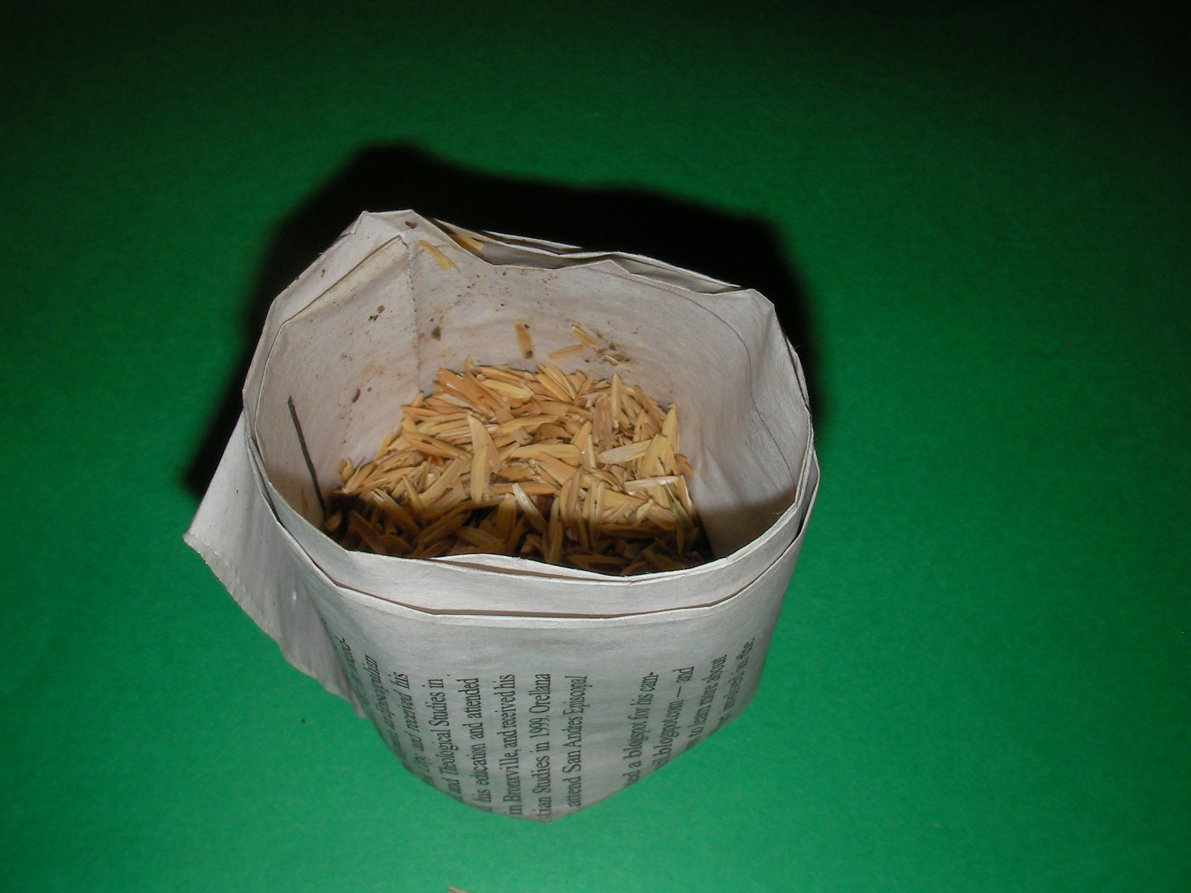 A Green Plant, a Green Pot (With Duct Tape!)