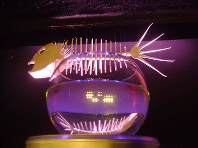 Kinetic Cardboard Fish