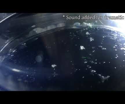 How to (maybe) See Particles From Outer Space!