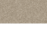 download {{ file.name }}